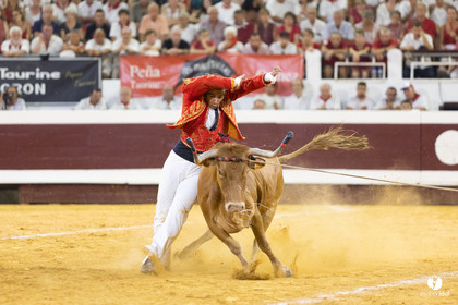 Dax concours landais 2022