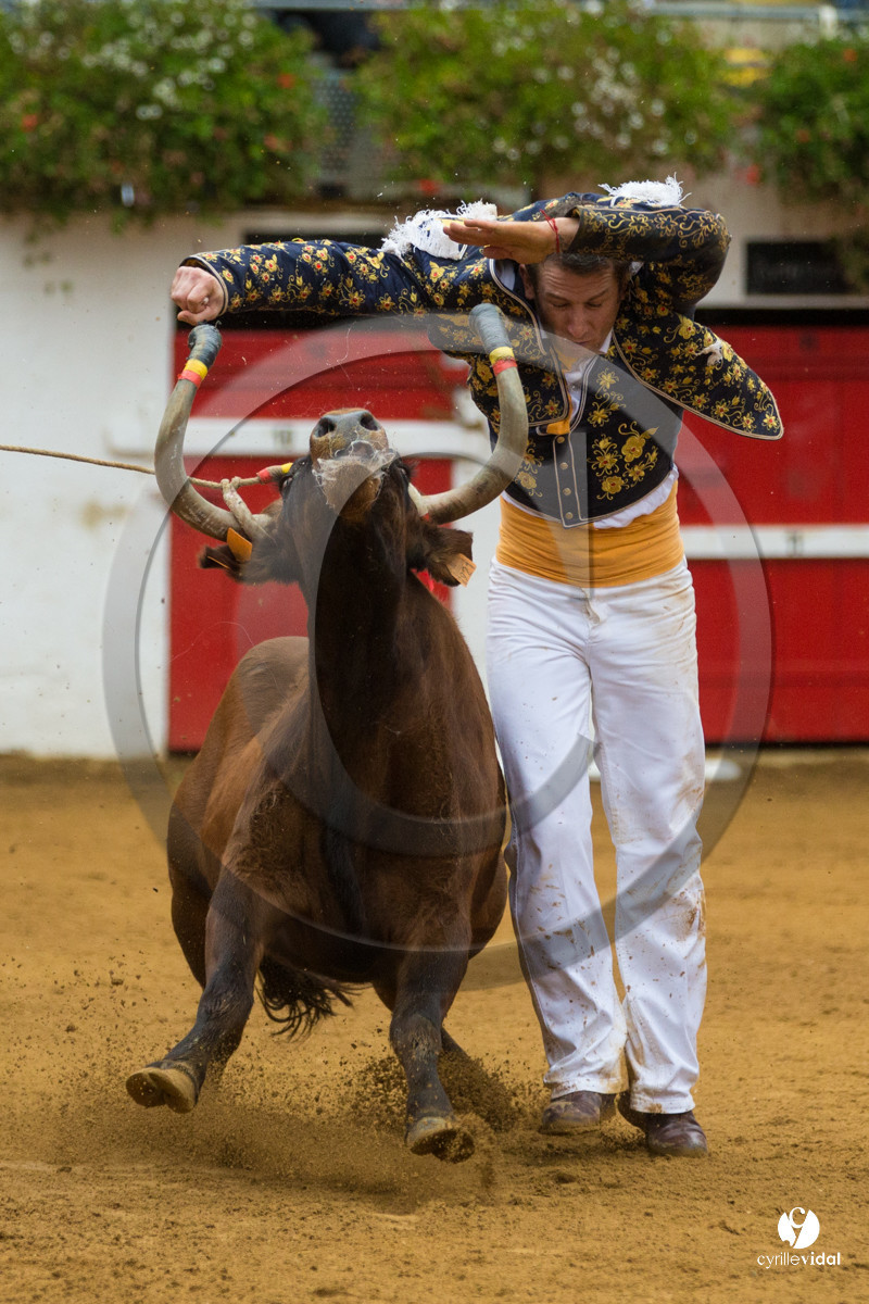 Nogaro Championnatde France de Course Landaise 2017