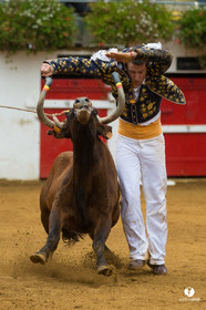 Nogaro Championnatde France de Course Landaise 2017