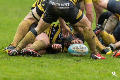 Bayonne - Stade Montois