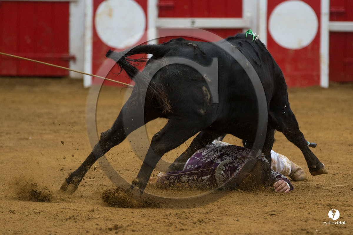 Nogaro Championnatde France de Course Landaise 2017