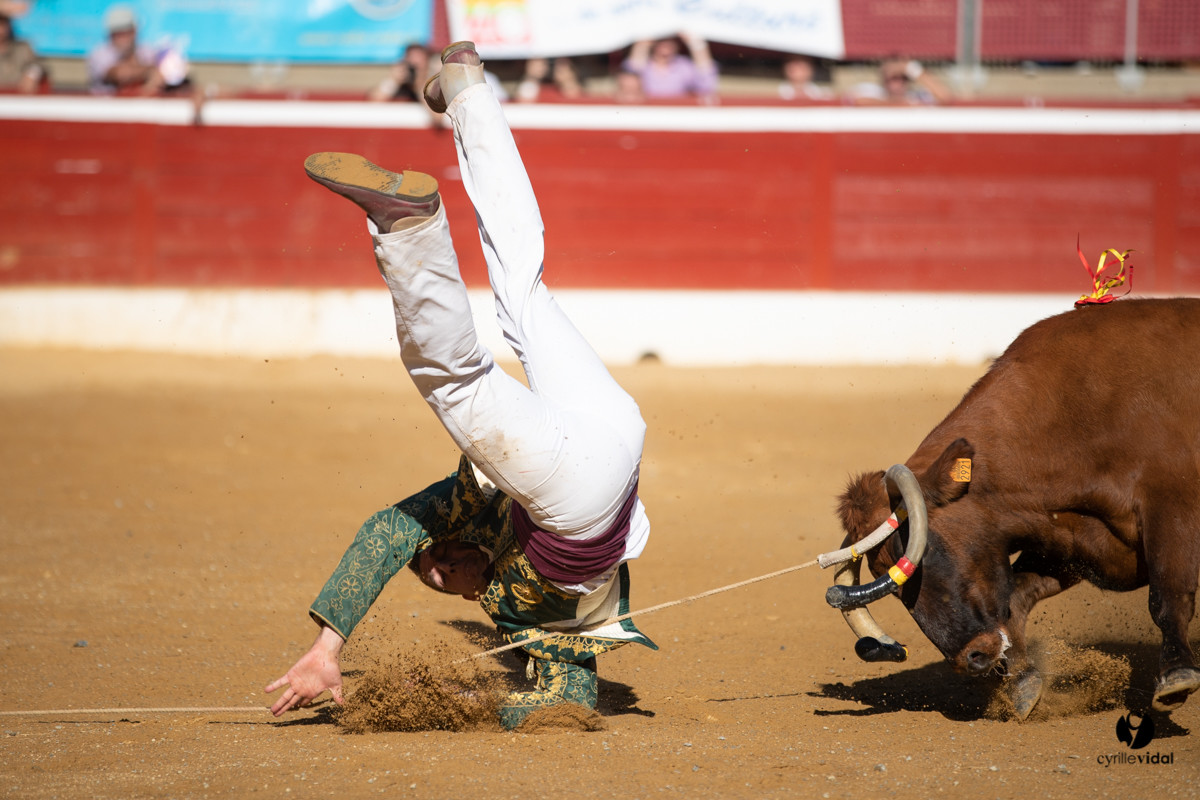 Mont-de-Marsan championnat de France de course landaise 2019
