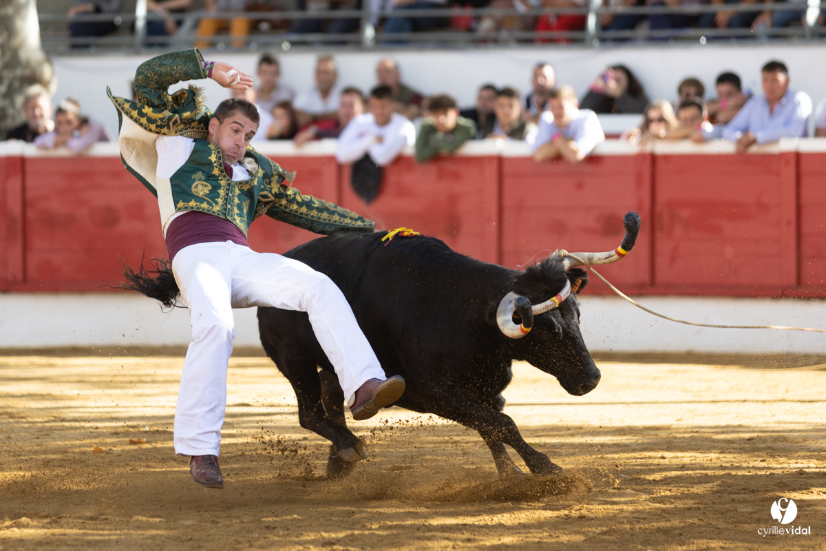 Nogaro Championnat de France de course landaise 2022