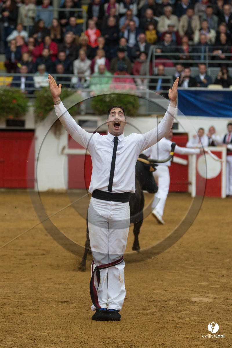 Nogaro Championnatde France de Course Landaise 2017