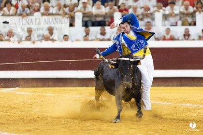 Dax concours landais 2022