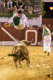 Aire sur l'Adour course landaise génération Aturine