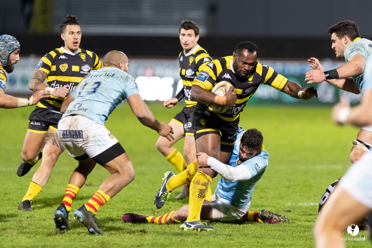 Stade Montois Rugby - Perpignan