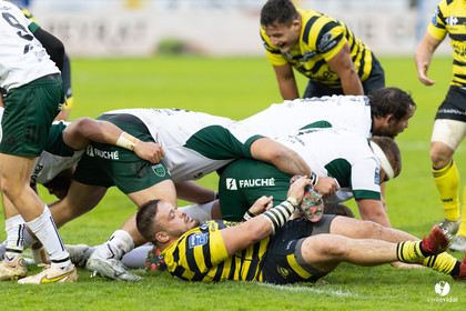 Stade Montois Rugby - Montauban