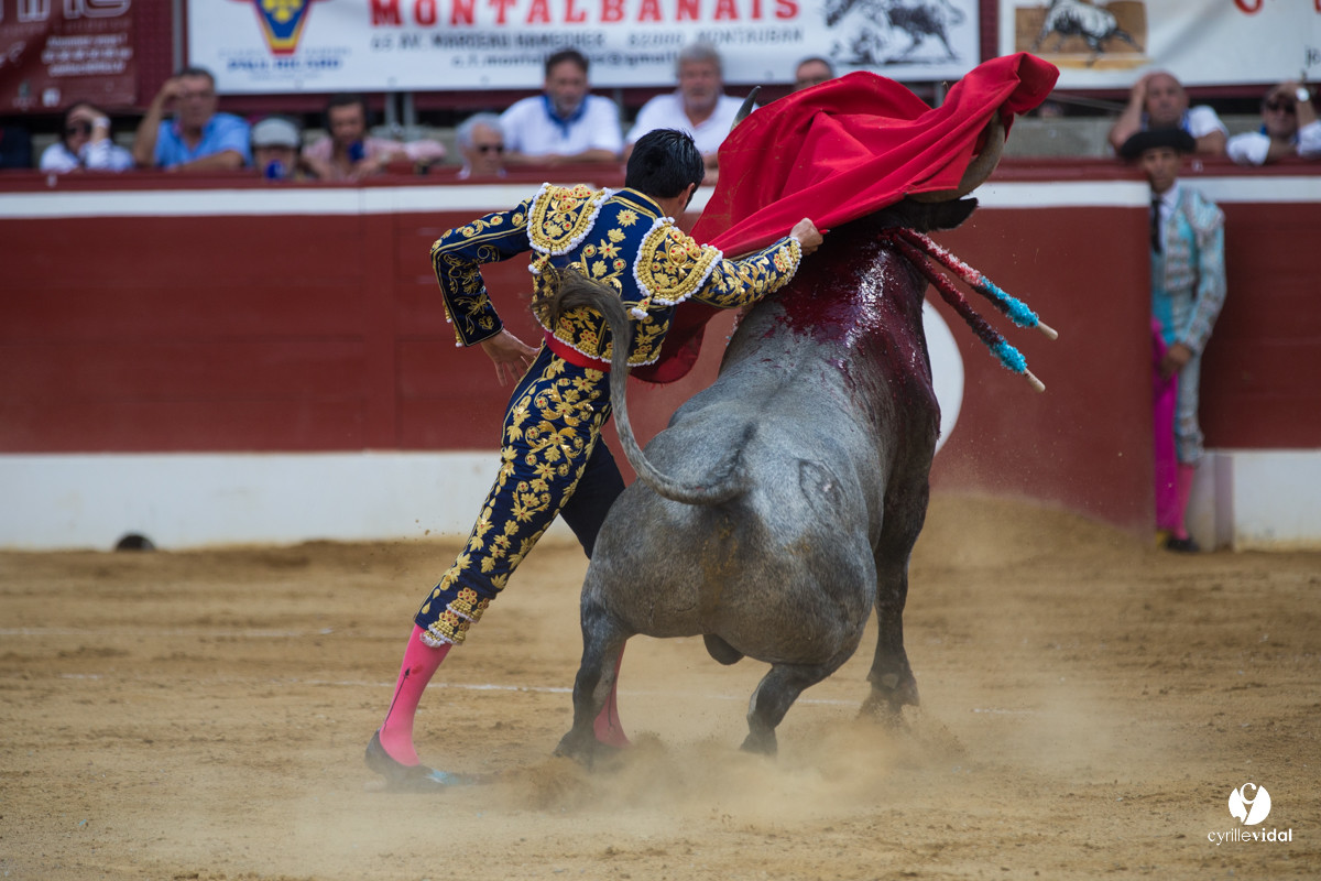 Mont-de-Marsan corrida d'Adolfo Martin
