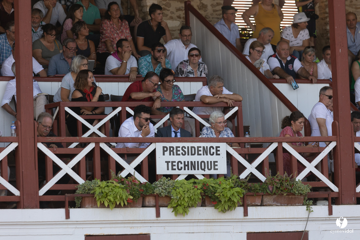 Corrida de Villeneuve-de-Marsan