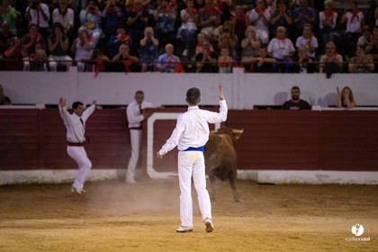 Landes émotions à Aire-sur-l'Adour