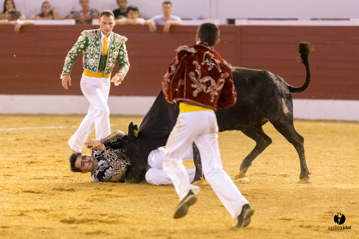 Aire sur l'Adour course landaise génération Aturine