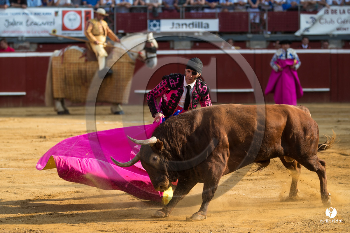 Mont-de-Marsan corrida de Jandilla pour Padilla - Talavante - Roca Rey