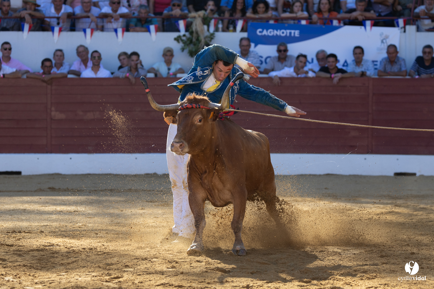 Aire-sur-l'Adour Championnat de France de course landaise 2023