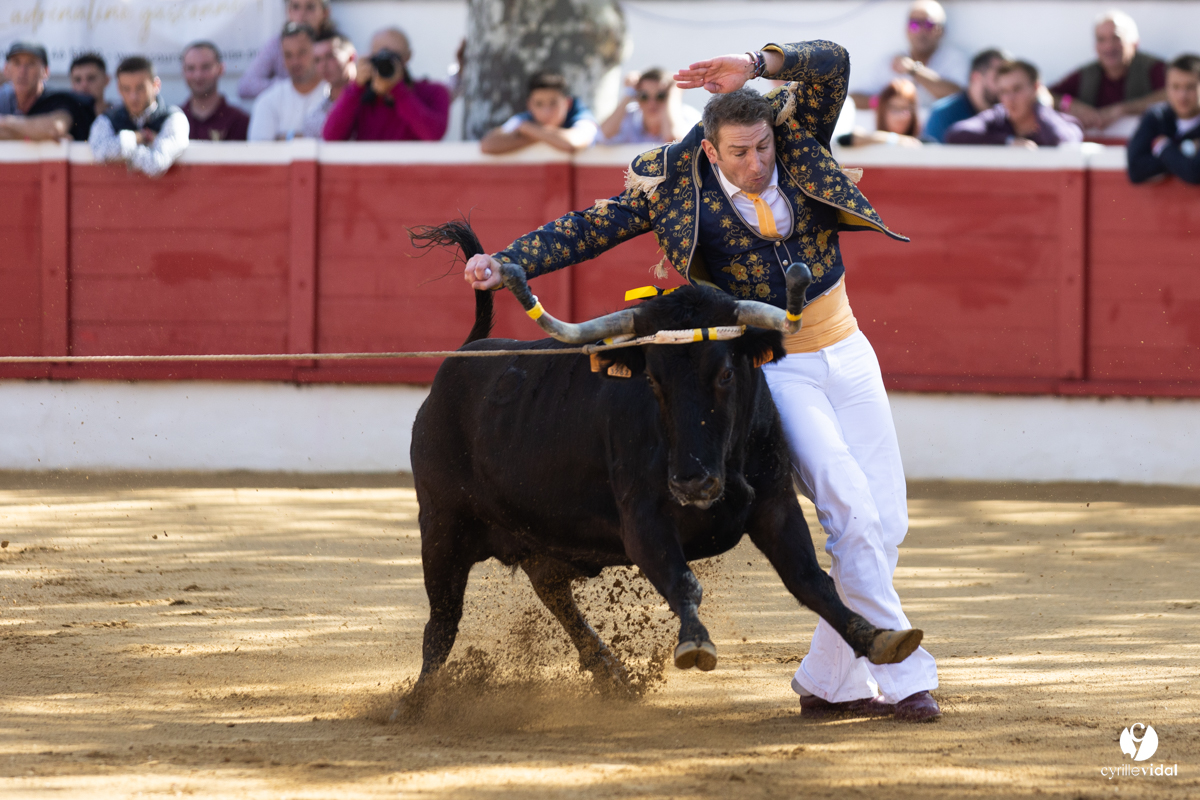 Nogaro Championnat de France de course landaise 2022