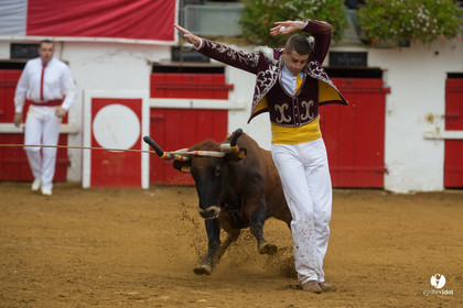 Nogaro Championnatde France de Course Landaise 2017