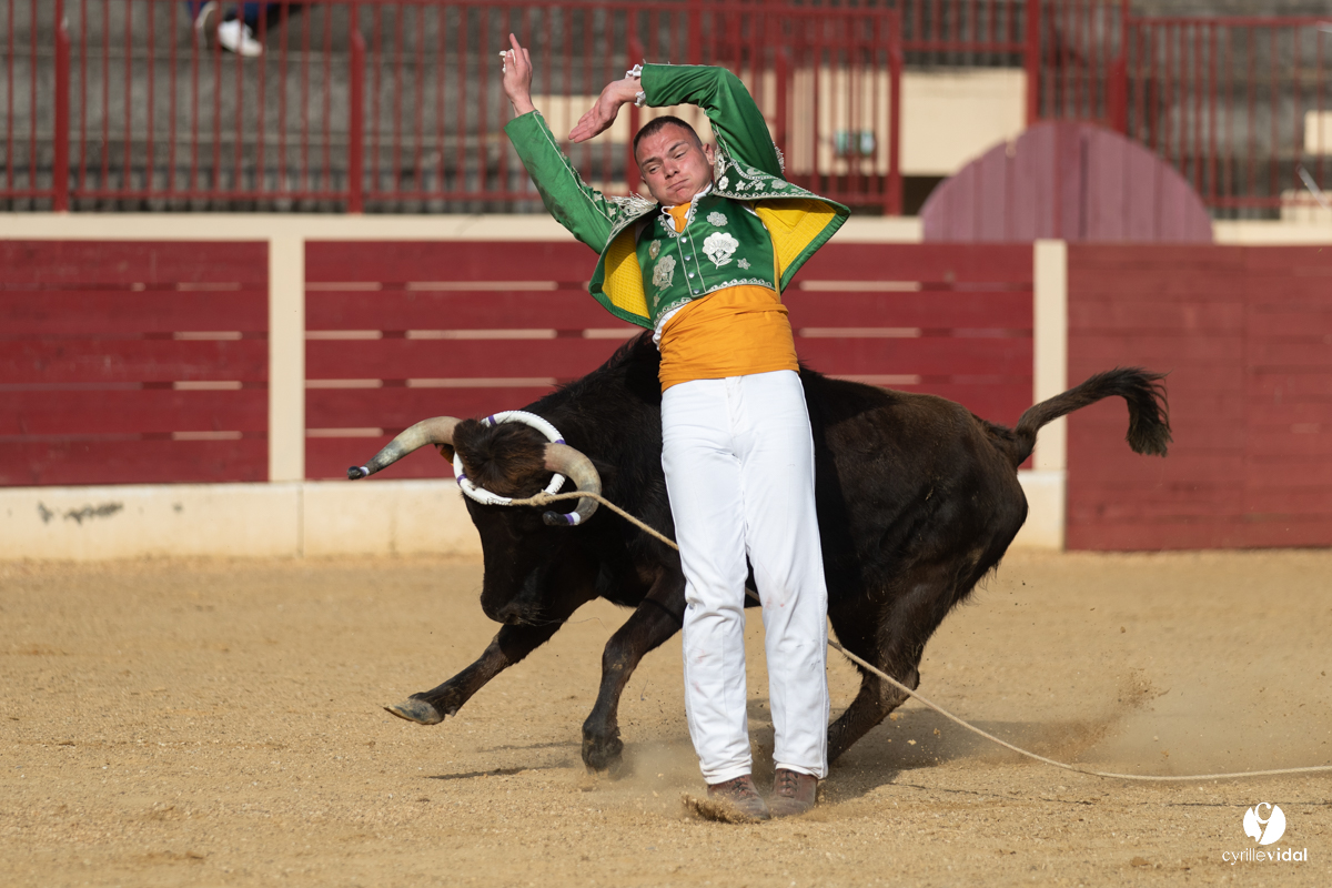 Course landaise Le Houga Ganadéria Dussau Cuadrilla Alexandre Brethes