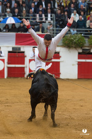 Nogaro Championnatde France de Course Landaise 2017