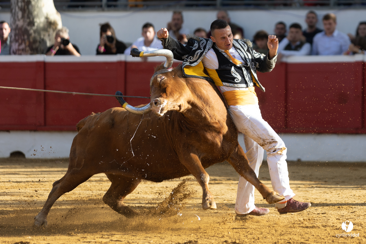 Nogaro Championnat de France de course landaise 2022