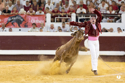 Dax concours landais 2022
