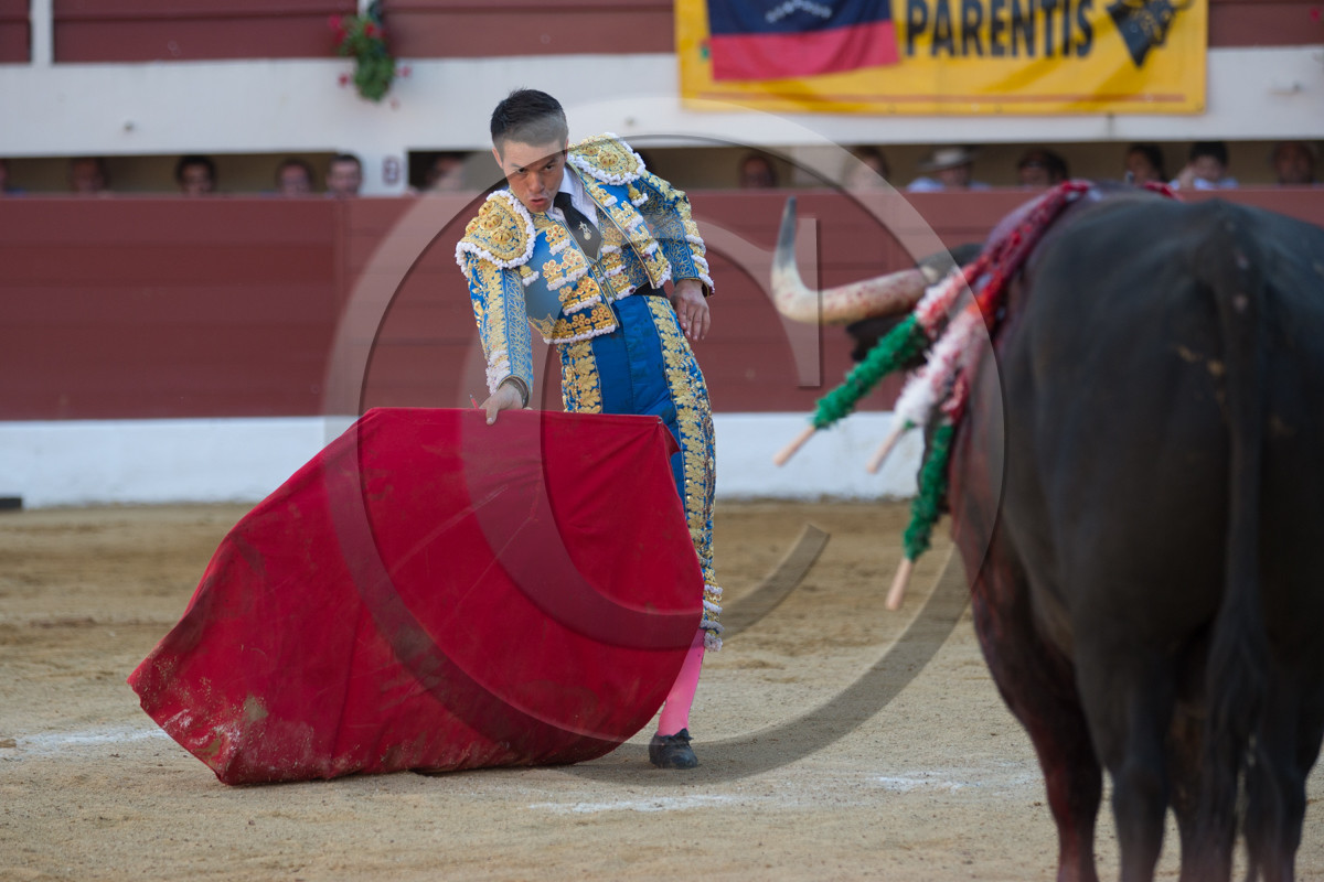 corrida, toro, vic fezensac, alcurrucen, michelito, morenito de aranda