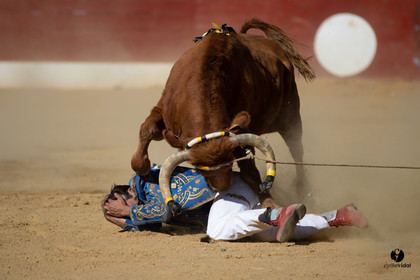 Mont-de-Marsan championnat de France de course landaise 2019