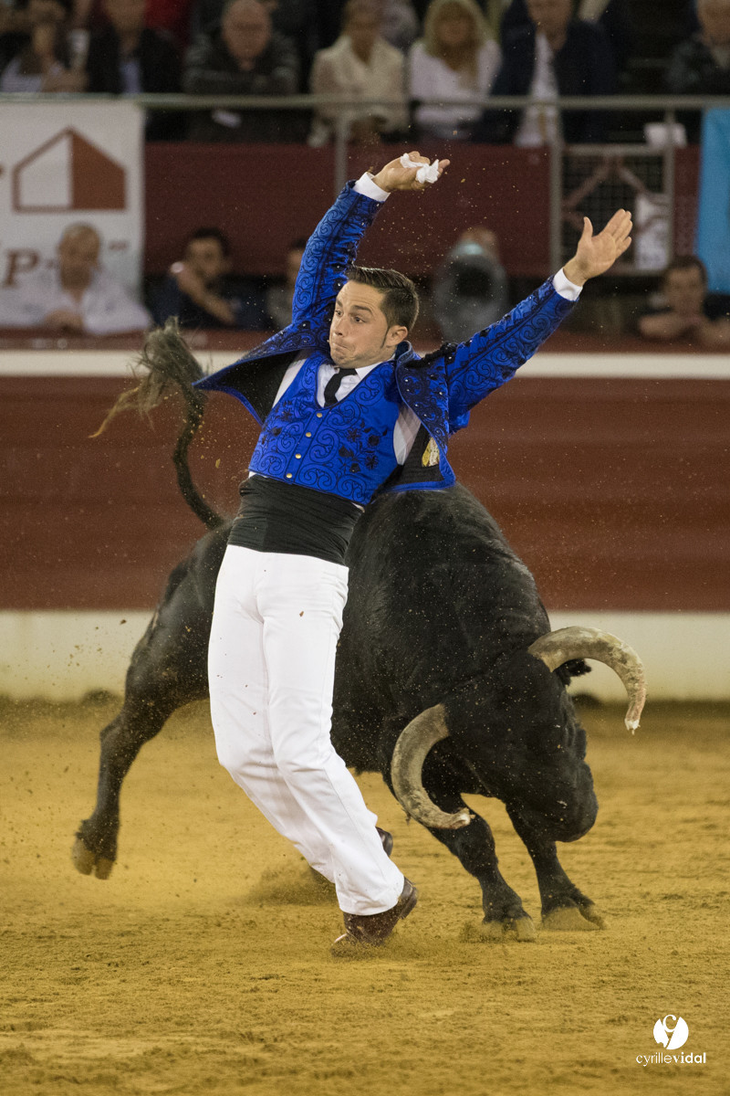 Mont-de-Marsan festival Art et Courage