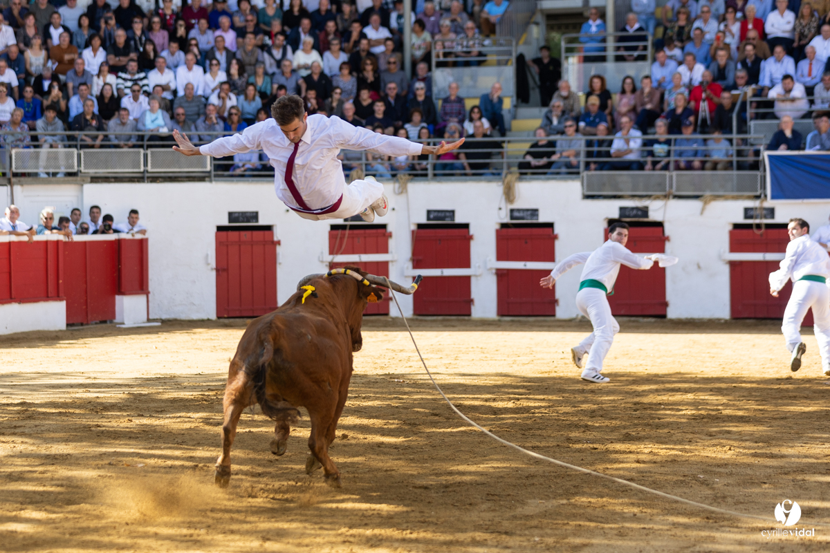 Nogaro Championnat de France de course landaise 2022