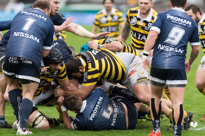 Stade Montois Rugby - Colomiers