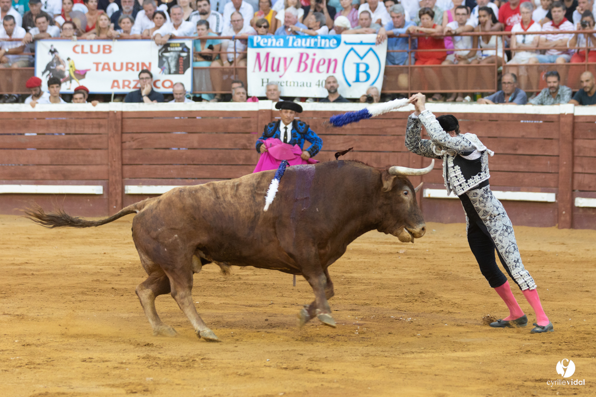 Corrida de Villeneuve-de-Marsan