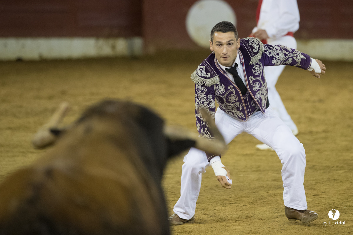 Mont-de-Marsan festival Art et Courage