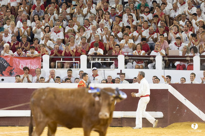 Dax concours landais 2022