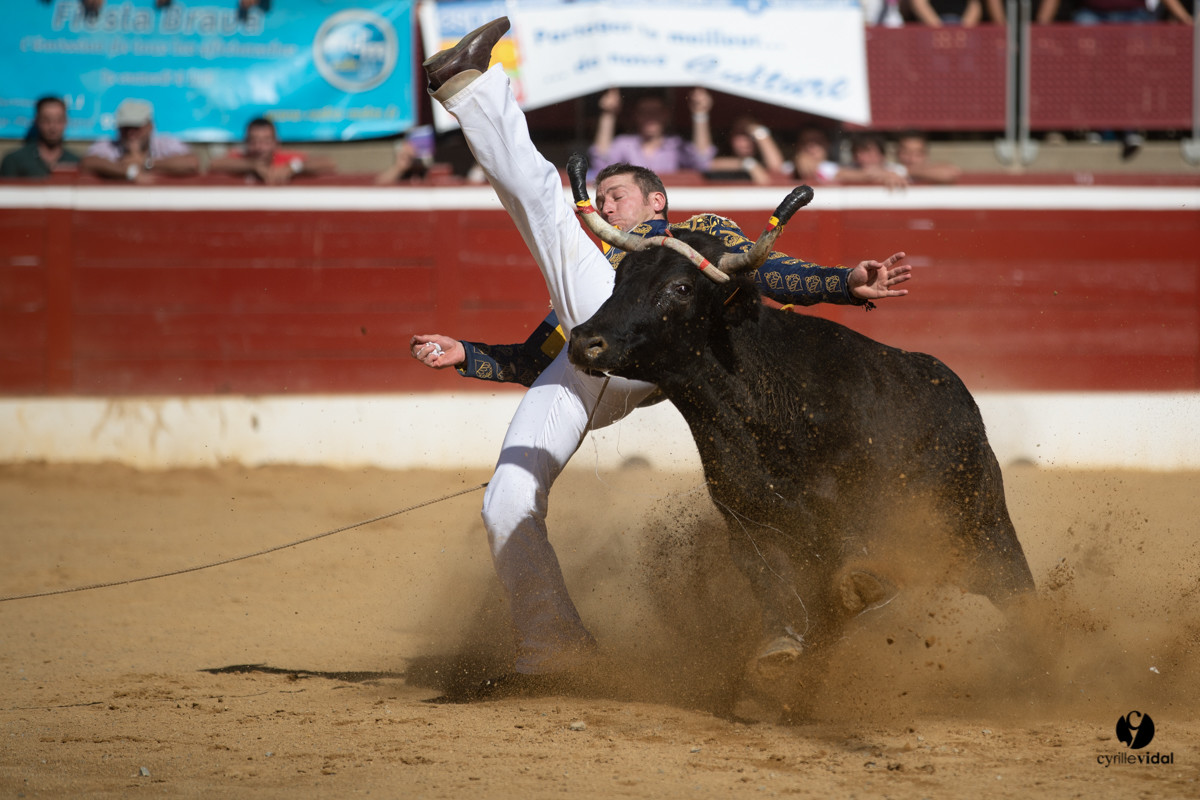 Mont-de-Marsan championnat de France de course landaise 2019