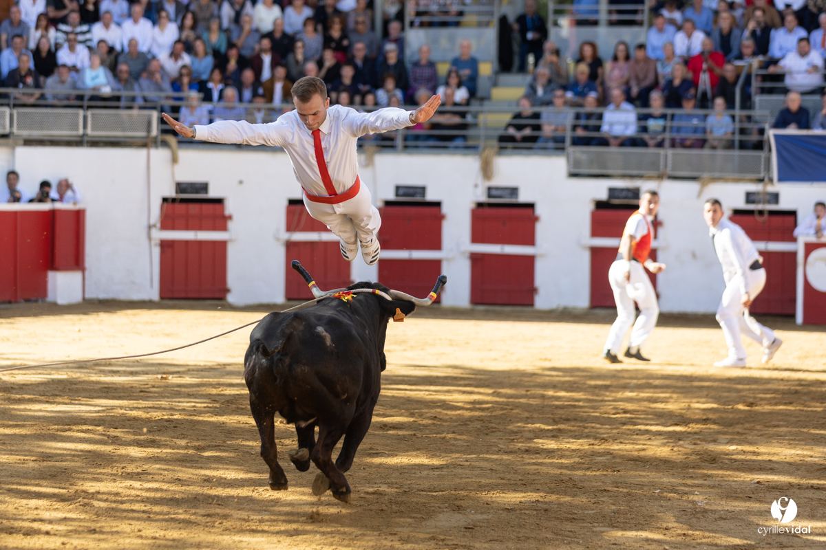 Nogaro Championnat de France de course landaise 2022