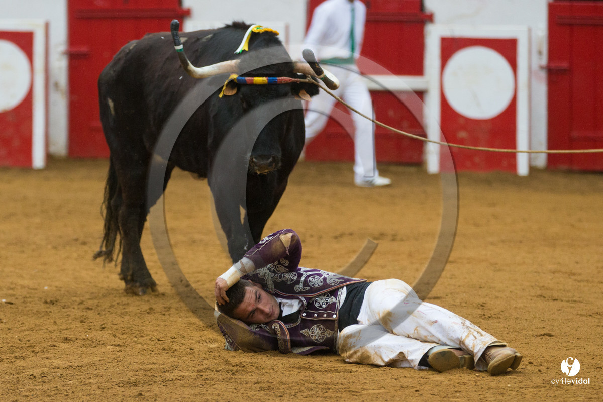 Nogaro Championnatde France de Course Landaise 2017