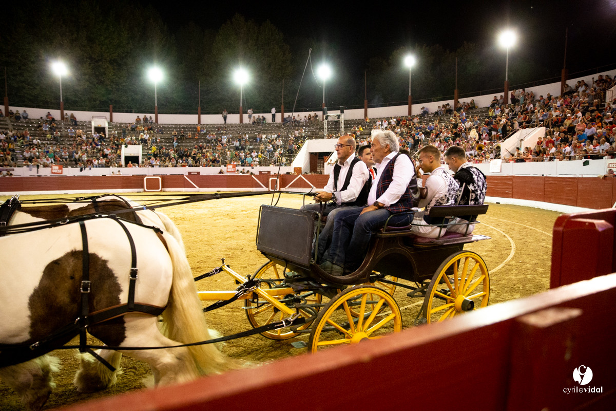 Landes émotions à Aire-sur-l'Adour
