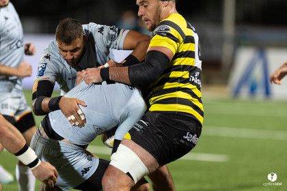 Stade Montois Rugby - Provence
