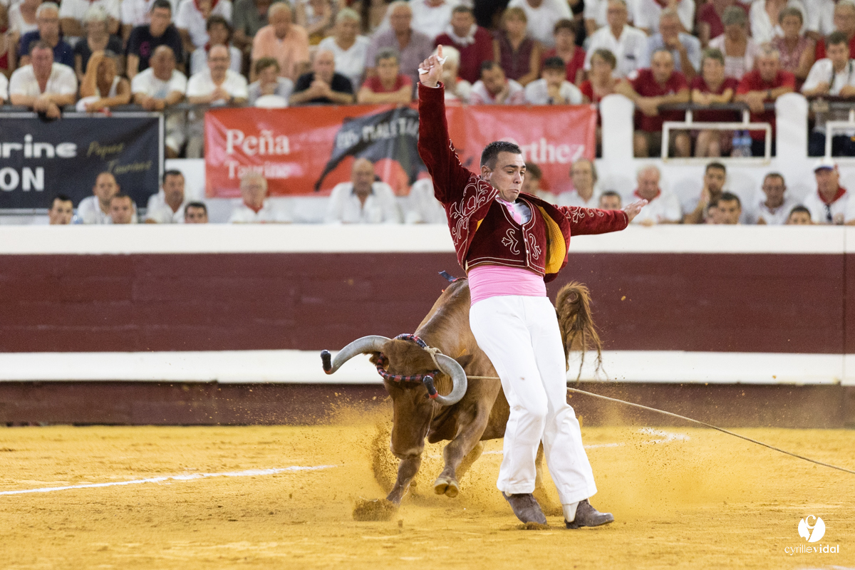 Dax concours landais 2022