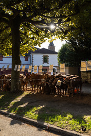 2025-09-06-1178.jpg
