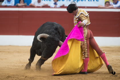 Mont-de-Marsan corrida de Garcigrande pour El Juli et Juan Bautista