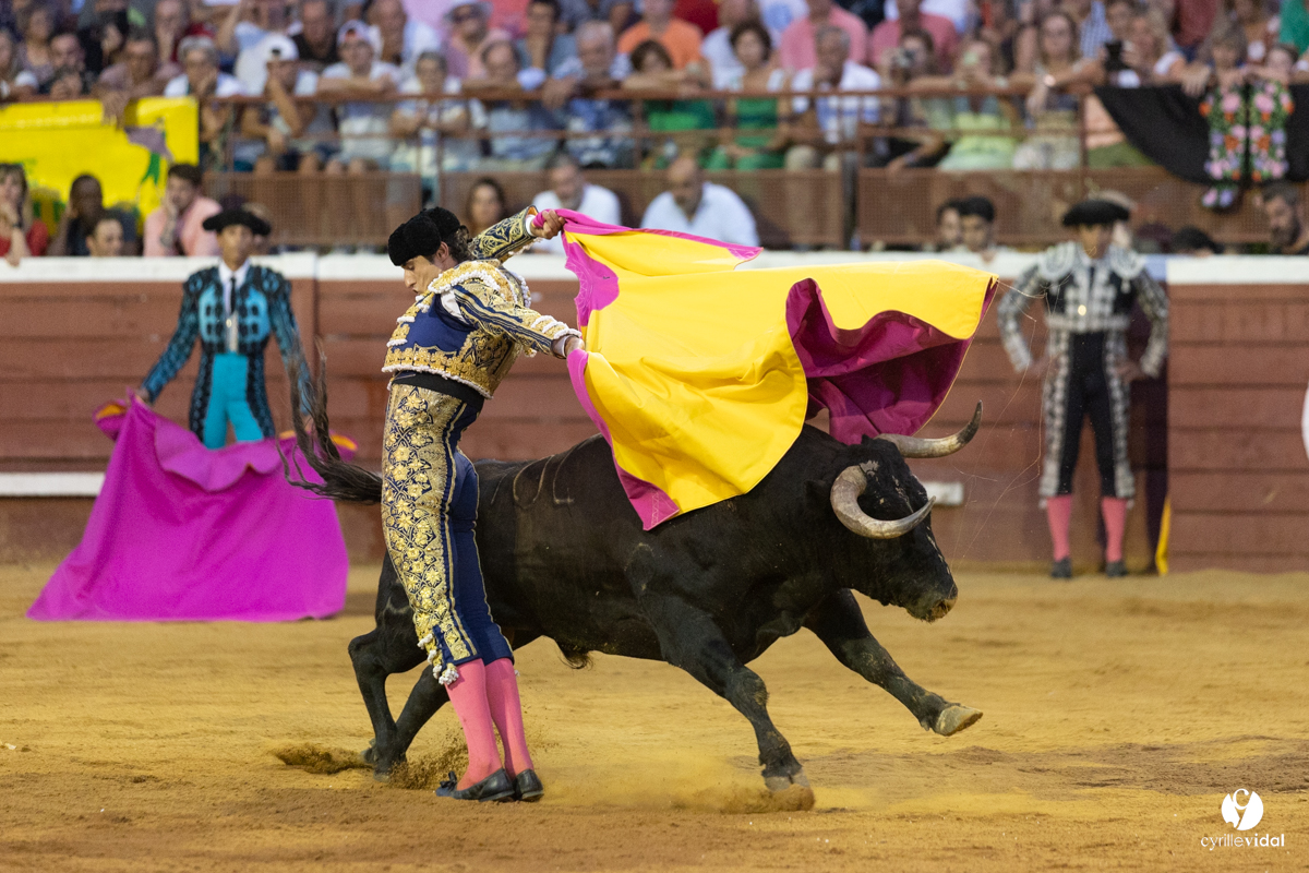 Corrida de Villeneuve-de-Marsan