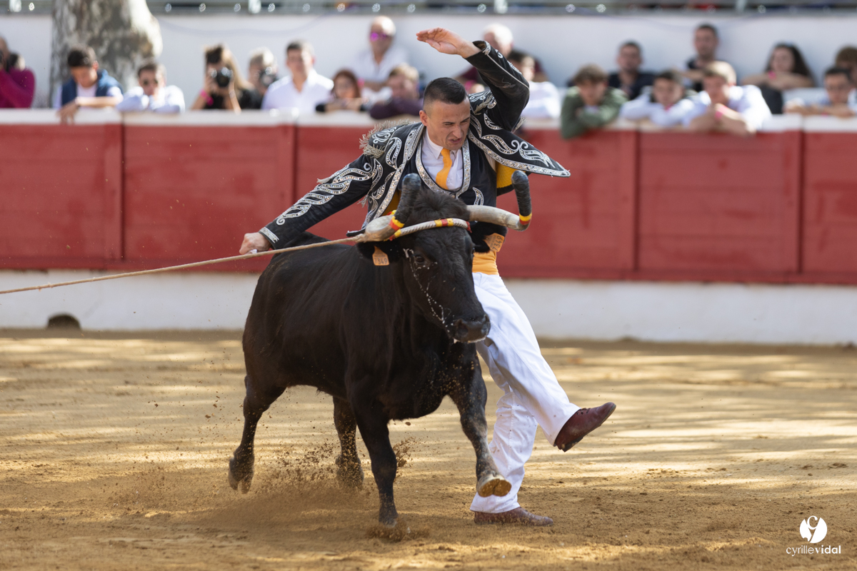 Nogaro Championnat de France de course landaise 2022