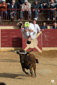Course landaise Le Houga Ganadéria Dussau Cuadrilla Alexandre Brethes