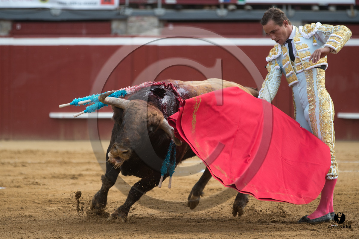 Mont-de-Marsan corrida de Garcigrande pour El Juli et Juan Bautista