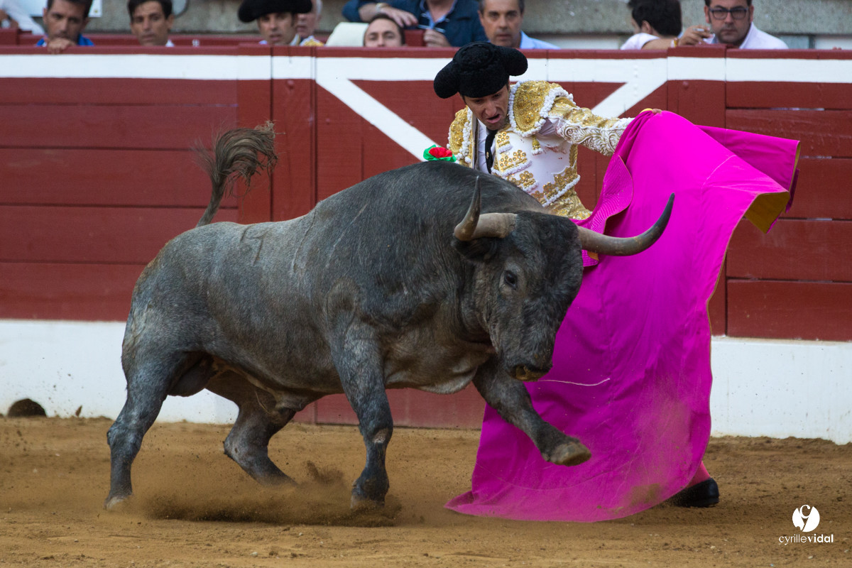 Mont-de-Marsan corrida d'Adolfo Martin