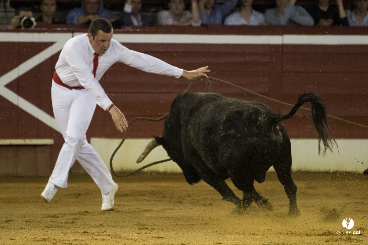 Mont-de-Marsan festival Art et Courage