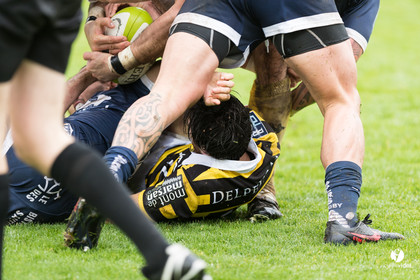 Stade Montois Rugby - Colomiers
