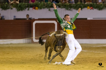 Aire sur l'Adour course landaise génération Aturine