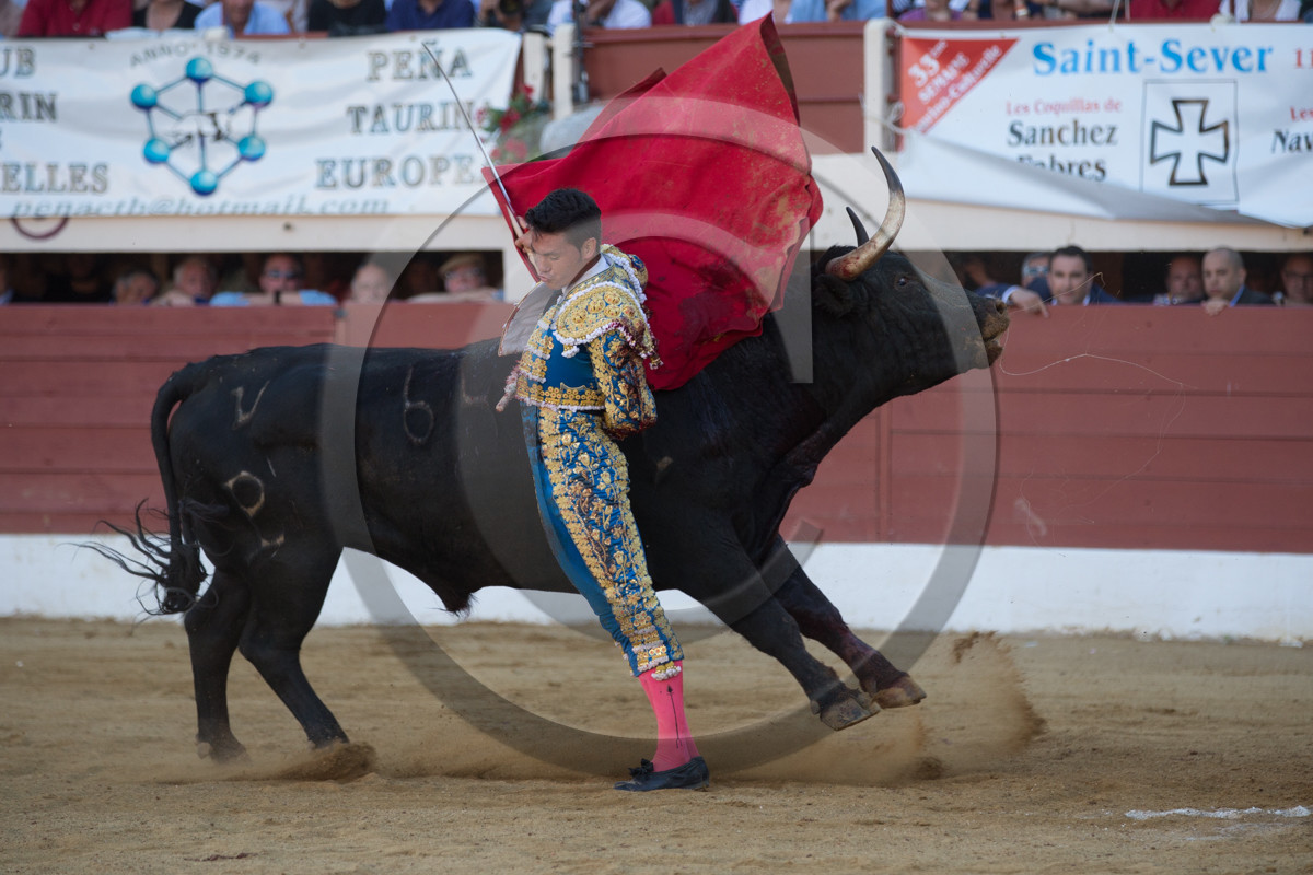 corrida, toro, vic fezensac, alcurrucen, michelito, morenito de aranda