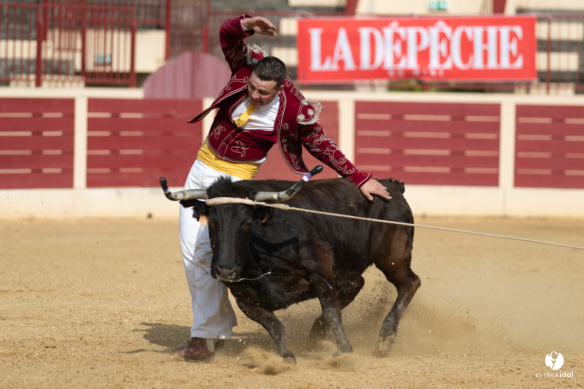 Course landaise Le Houga Ganadéria Dussau Cuadrilla Alexandre Brethes